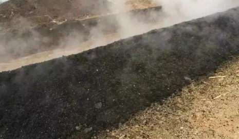 雞糞到底對于瓜果是毒藥還是寶？